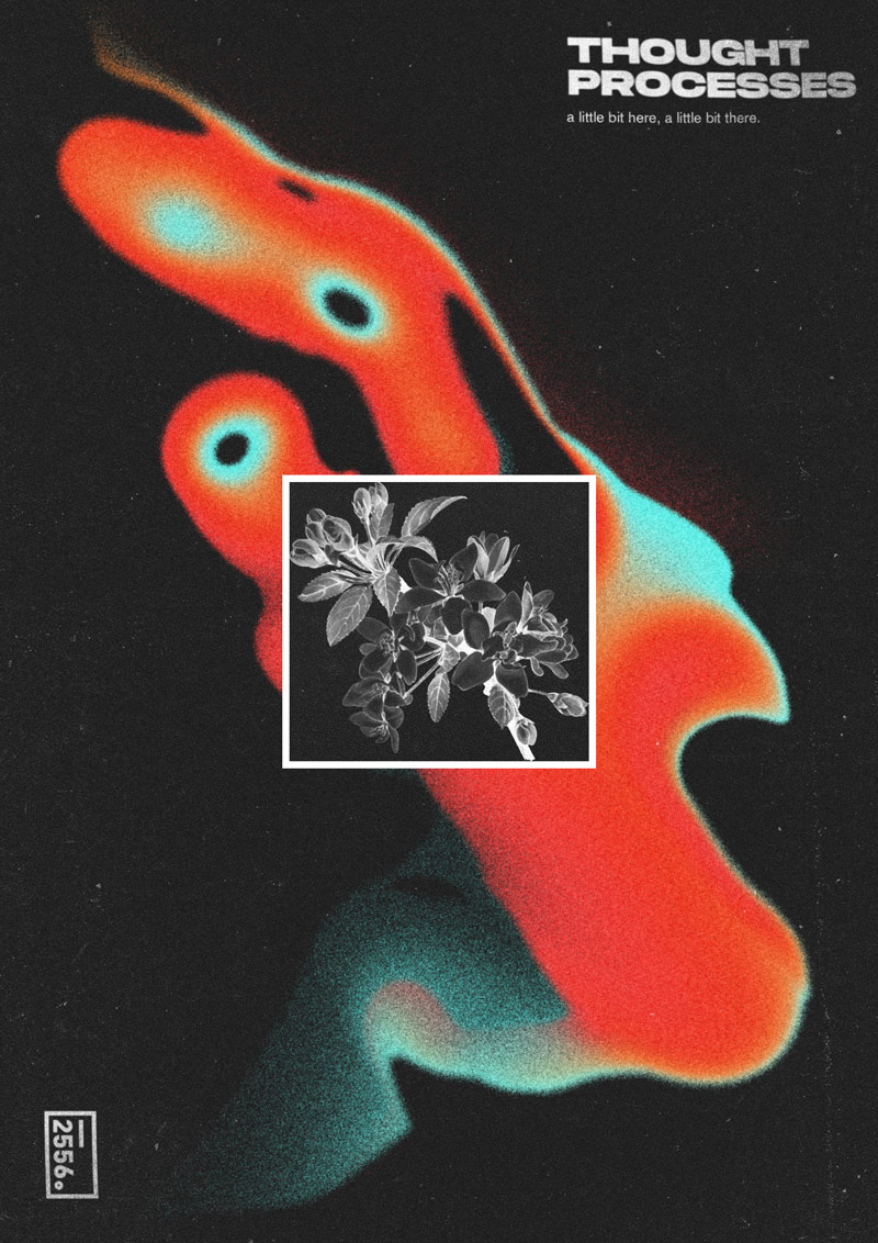 2556_thought_processes